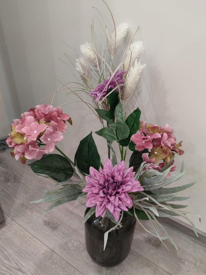 Flowers Apartment Dobrich Luaran gambar